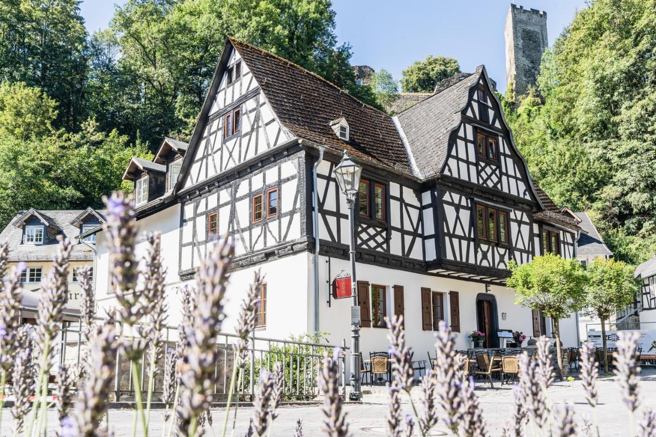 Landgasthof Zur Burg Grenzau Hoehr-Grenzhausen Exterior photo